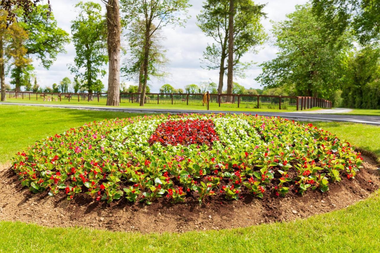 Apples Jade Apartment Navan Exterior foto